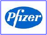 Pfizer MICE in Morocco