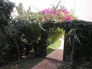 184-essaouira-al-jasira